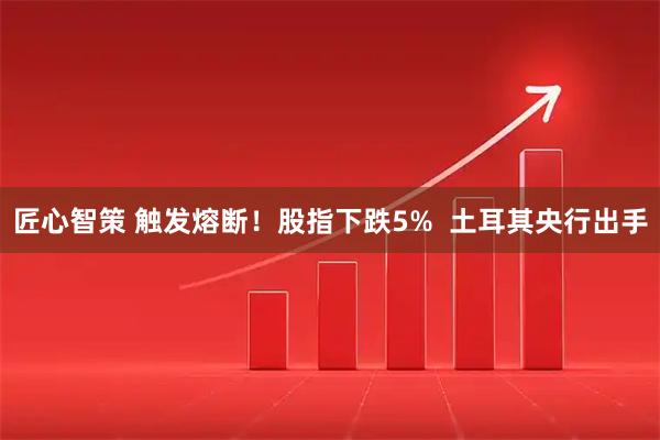 匠心智策 触发熔断！股指下跌5%  土耳其央行出手