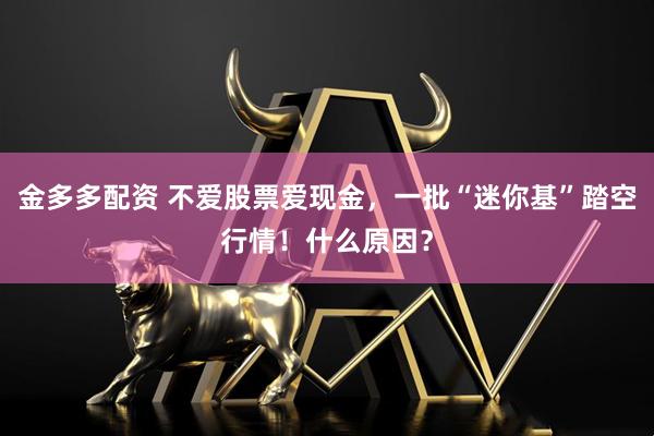 金多多配资 不爱股票爱现金，一批“迷你基”踏空行情！什么原因？