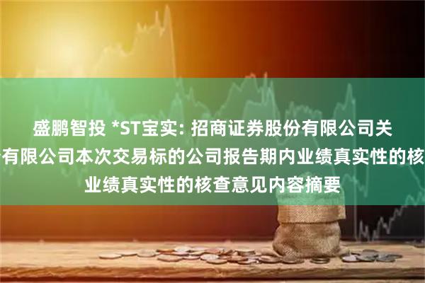 盛鹏智投 *ST宝实: 招商证券股份有限公司关于宝塔实业股份有限公司本次交易标的公司报告期内业绩真实性的核查意见内容摘要